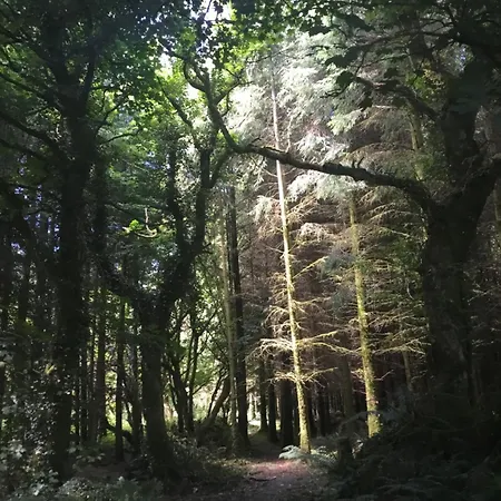 Alderlane Holiday home Wexford