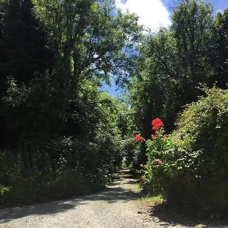 Holiday home Alderlane Wexford